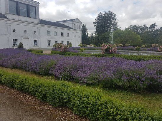 die Orangerie Putbus