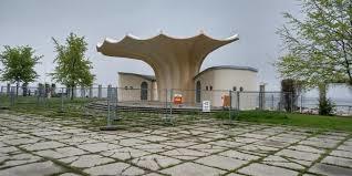 die Kurmuschel