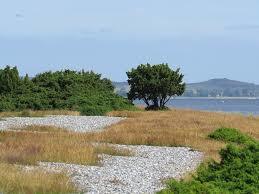 Fährinsel