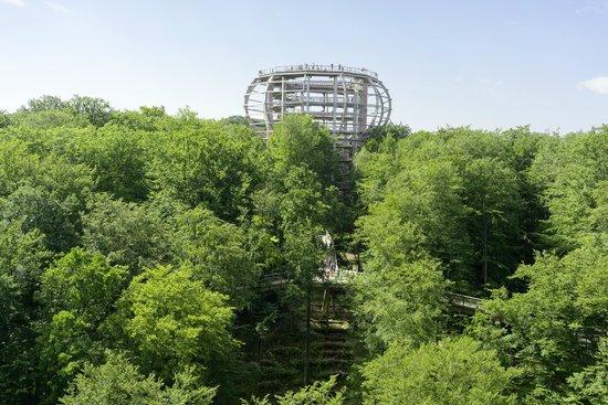 Naturerbe Zentrum RÜGEN