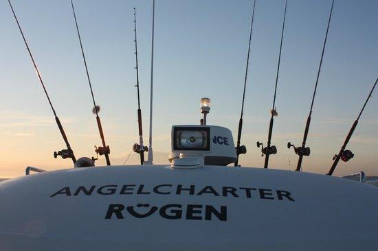 Petri Mike Guidingservice Ruegen