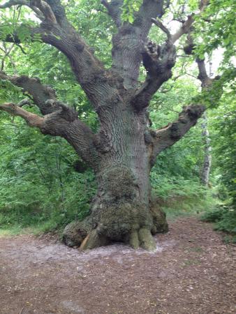 Insel Vilm